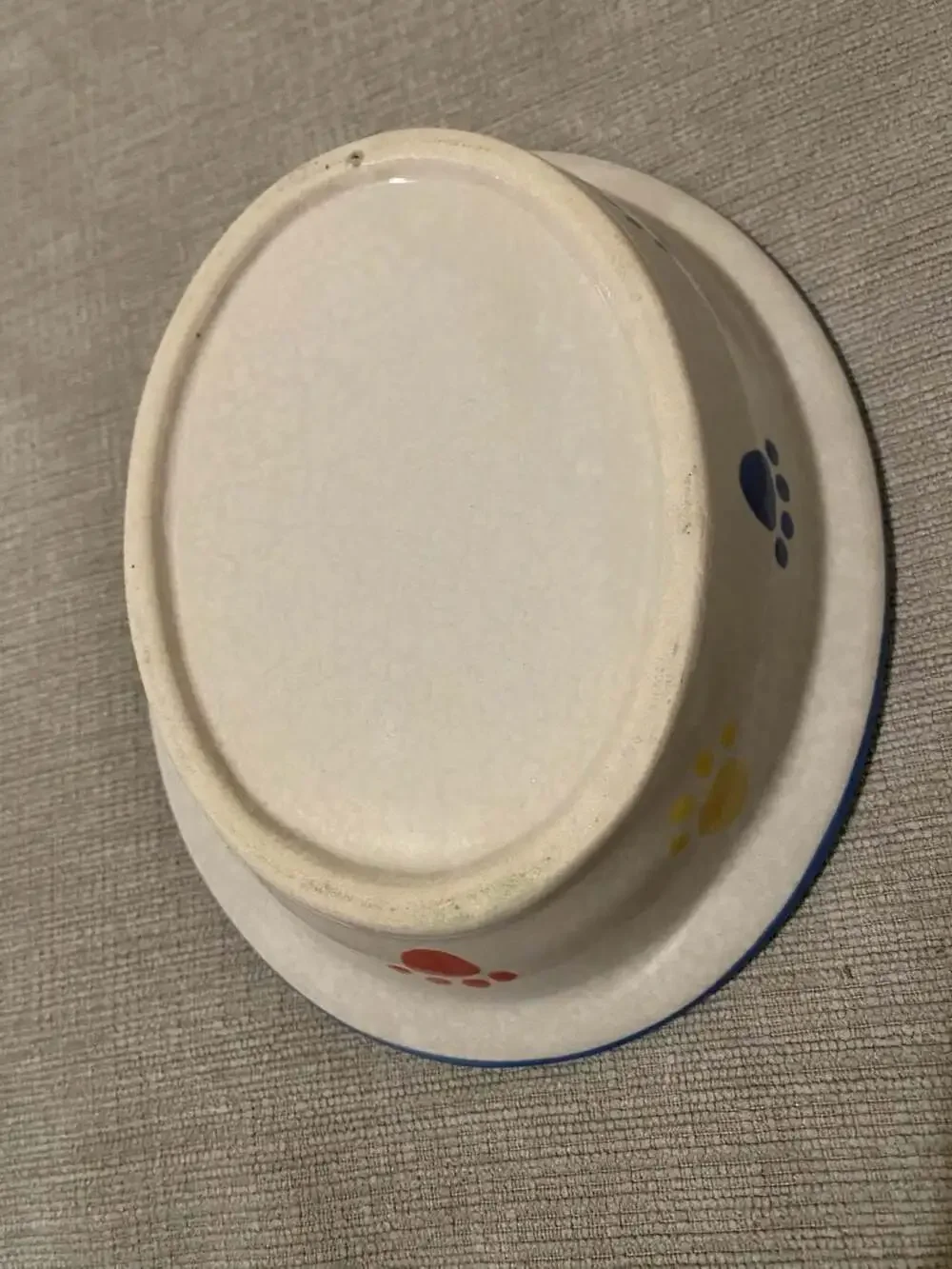 Rainbow Paw Pet Bowl 6.5 by 5.25, 1 inch deep
